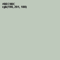 #BEC9BC - Clay Ash Color Image