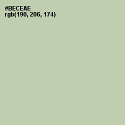 #BECEAE - Rainee Color Image
