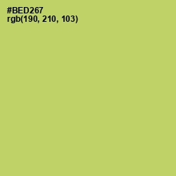 #BED267 - Wild Willow Color Image