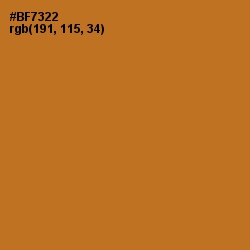#BF7322 - Copper Color Image