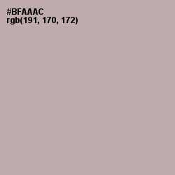 #BFAAAC - Silk Color Image