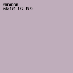 #BFADBB - Pink Swan Color Image