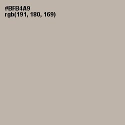 #BFB4A9 - Silk Color Image