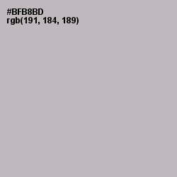 #BFB8BD - Pink Swan Color Image