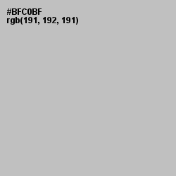 #BFC0BF - Clay Ash Color Image