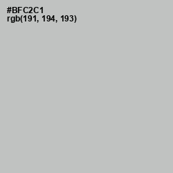 #BFC2C1 - Silver Sand Color Image