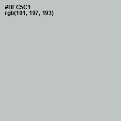 #BFC5C1 - Silver Sand Color Image