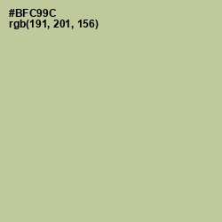 #BFC99C - Rainee Color Image