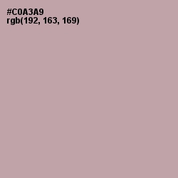 #C0A3A9 - Bison Hide Color Image