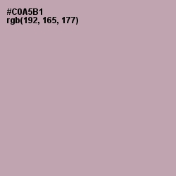 #C0A5B1 - Lily Color Image