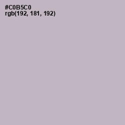 #C0B5C0 - Pale Slate Color Image