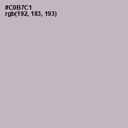 #C0B7C1 - Pale Slate Color Image