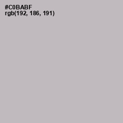 #C0BABF - Cotton Seed Color Image