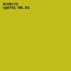 #C0BC19 - Gold Tips Color Image
