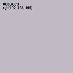 #C0BCC3 - Pale Slate Color Image