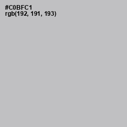 #C0BFC1 - Pale Slate Color Image