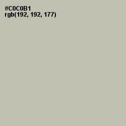 #C0C0B1 - Ash Color Image