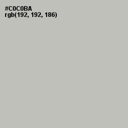 #C0C0BA - Gray Nickel Color Image