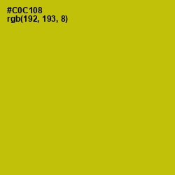 #C0C108 - Bird Flower Color Image