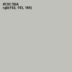 #C0C1BA - Gray Nickel Color Image