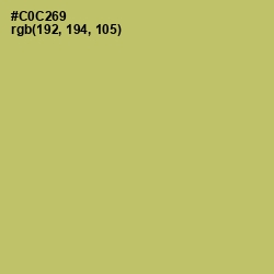 #C0C269 - Tacha Color Image