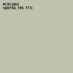 #C0C2AD - Thistle Green Color Image