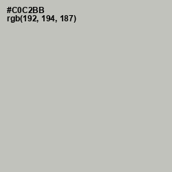 #C0C2BB - Gray Nickel Color Image