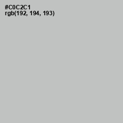 #C0C2C1 - Silver Color Image