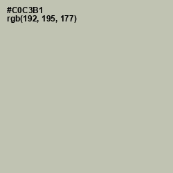 #C0C3B1 - Ash Color Image