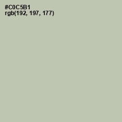 #C0C5B1 - Ash Color Image