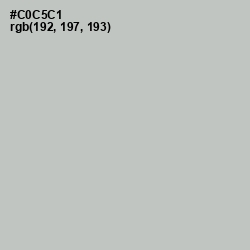 #C0C5C1 - Silver Color Image