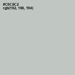 #C0C6C2 - Silver Color Image