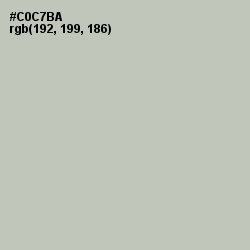 #C0C7BA - Mist Gray Color Image