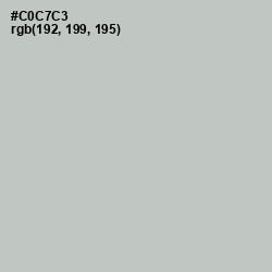 #C0C7C3 - Silver Color Image