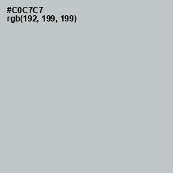 #C0C7C7 - Silver Color Image