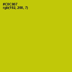 #C0C807 - Bird Flower Color Image