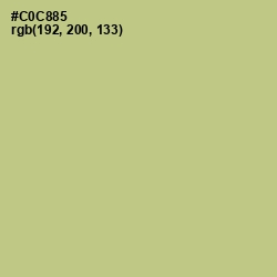 #C0C885 - Pine Glade Color Image