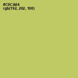 #C0CA64 - Tacha Color Image