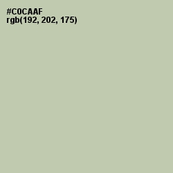 #C0CAAF - Thistle Green Color Image