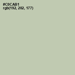 #C0CAB1 - Ash Color Image