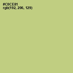 #C0CE81 - Pine Glade Color Image