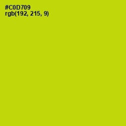 #C0D709 - Bird Flower Color Image