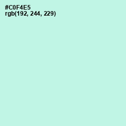 #C0F4E5 - Mint Tulip Color Image