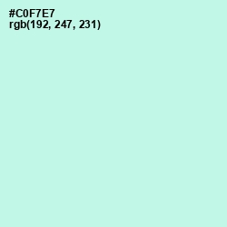 #C0F7E7 - Mint Tulip Color Image