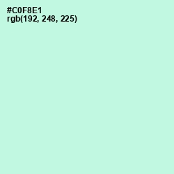 #C0F8E1 - Mint Tulip Color Image