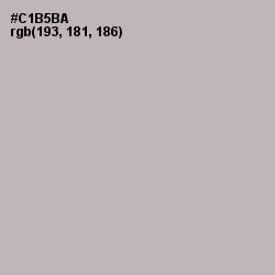 #C1B5BA - Cotton Seed Color Image