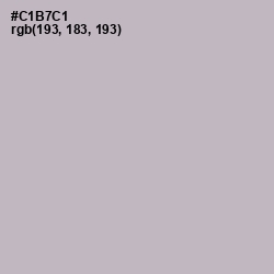 #C1B7C1 - Pale Slate Color Image