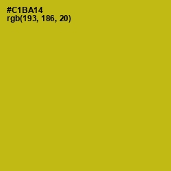 #C1BA14 - Gold Tips Color Image