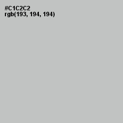 #C1C2C2 - Silver Color Image