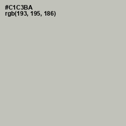 #C1C3BA - Gray Nickel Color Image